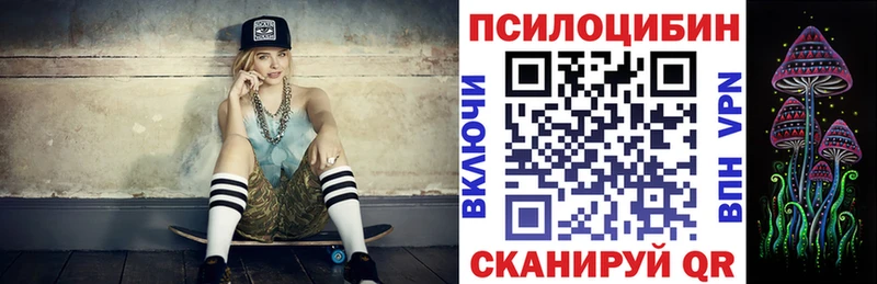 Купить закладки  Донецк  Псилоцибиновые грибы Psilocybe 